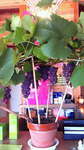 201108031255001.jpg