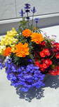 201206151048000.jpg